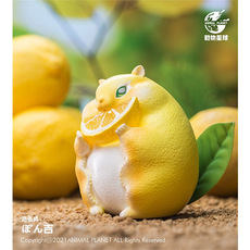 [입고] [dodowo] -ANIMAL PLANET-  시리즈 첫번째 레몬 날다람쥐